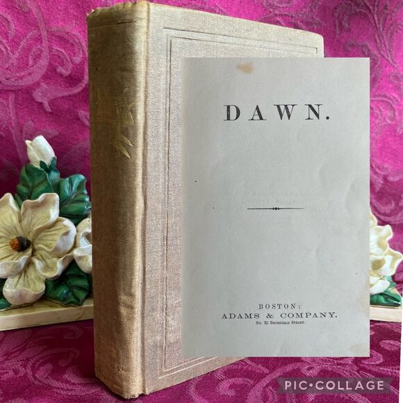 1868 Dawn [by Harriet A. Adams]. Scarce Antique Book Published by Adams & Co - Picture 1 of 12